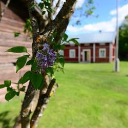 Halsuan kotiseutumuseo