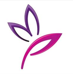 HeiLash Studio