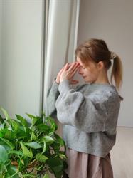 Kastanjatuulikki