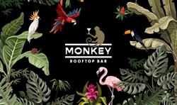 Monkey Rooftop Bar