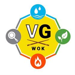 VG Wok Kaleva