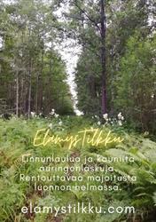 Elämystilkku