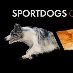 Sportdogs Center