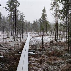 Byggtjänst Chrille