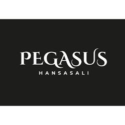 Pegasus Hansasali
