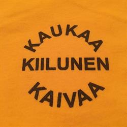 Maanrakennus Kiilunen Oy