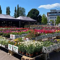 Lauttasaaren puutarhamyymälä