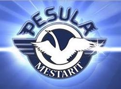 PesulaMestarit Oy