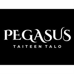 Pegasus Taiteen talo