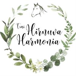 hevospalvelut Hankasalmella