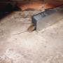 # 6