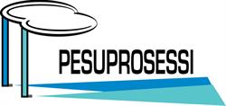 PP-Pesuprosessi Oy